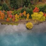 Coniugare sostenibilità ambientale e sociale, come zeroCO2 riforestazione zeroCO2