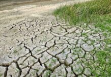 Una legge sul clima per l'Italia