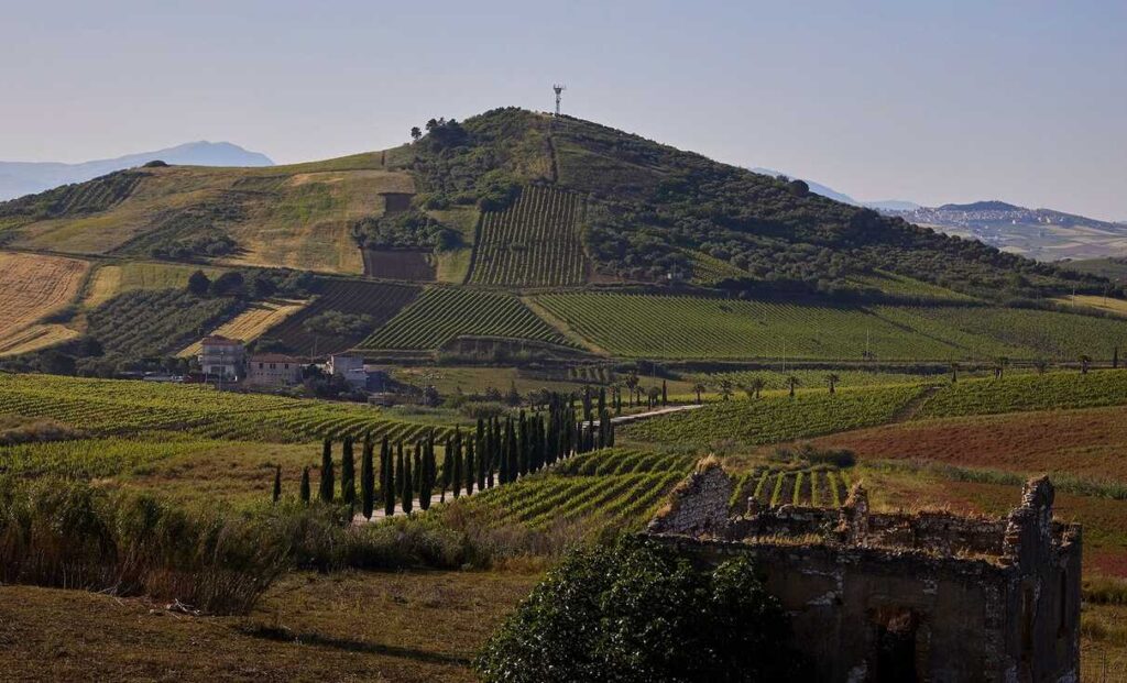 Fotografia della tenuta Alessandro di Camporeale