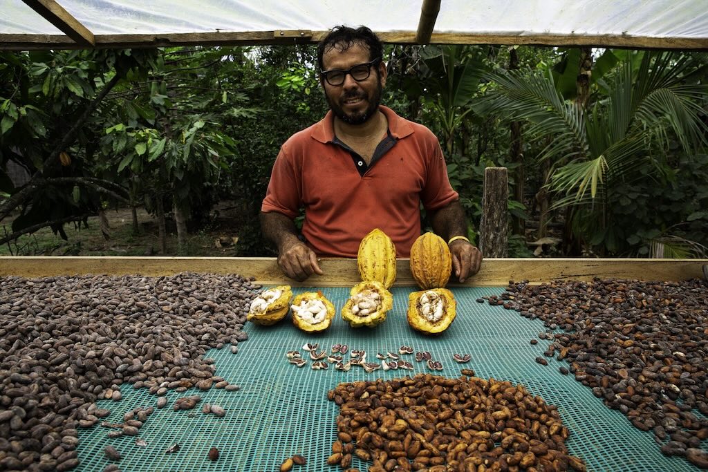 made in dignity altromercato