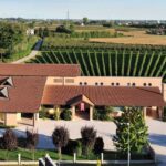 Dall’amore per il Piave l’impegno per proteggere il territorio e le persone Fotografia dell'Azienda Agricola Cecchetto