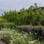A Sassuolo, Marazzi trasforma il muro dello stabilimento in un parco lineare parco lineare marazzi