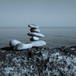Transilienza, cosa significa questa nuova parola e perché è importante transilienza concept