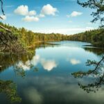In Finlandia il festival più originale del mondo: quando ascoltare la natura diventa un’esperienza finlandia festival